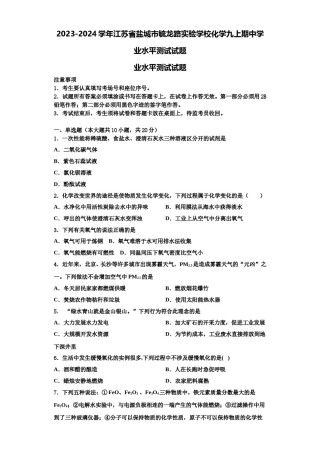 2023-2024学年江苏省盐城市毓龙路实验学校化学九上期中学业水平测试试题含解析.doc