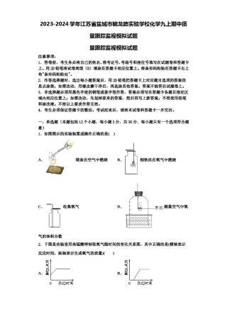 2023-2024学年江苏省盐城市毓龙路实验学校化学九上期中质量跟踪监视模拟试题含解析.doc