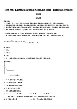 2023-2024学年江苏省盐城市洋马初级中学九年级化学第一学期期末学业水平测试模拟试题含解析.doc