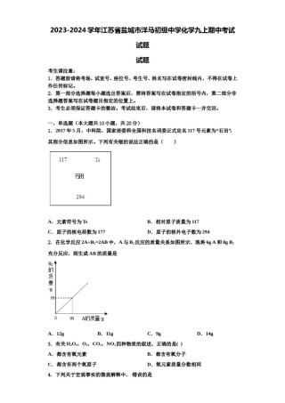 2023-2024学年江苏省盐城市洋马初级中学化学九上期中考试试题含解析.doc
