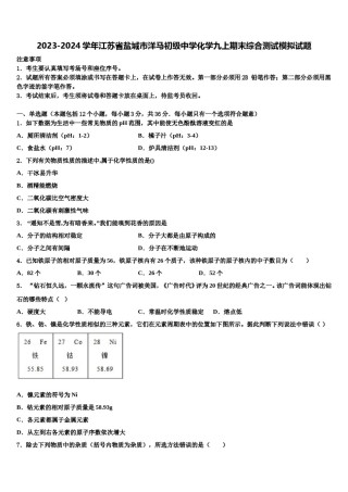 2023-2024学年江苏省盐城市洋马初级中学化学九上期末综合测试模拟试题含解析.doc