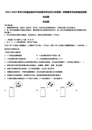 2023-2024学年江苏省盐城市洋马初级中学化学九年级第一学期期末学业质量监测模拟试题含解析.doc