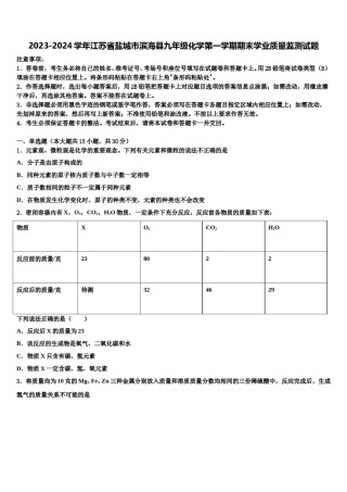 2023-2024学年江苏省盐城市滨海县九年级化学第一学期期末学业质量监测试题含解析.doc
