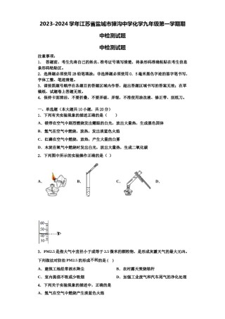 2023-2024学年江苏省盐城市獐沟中学化学九年级第一学期期中检测试题含解析.doc