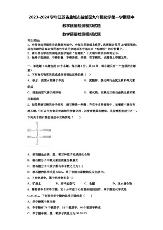 2023-2024学年江苏省盐城市盐都区九年级化学第一学期期中教学质量检测模拟试题含解析.doc