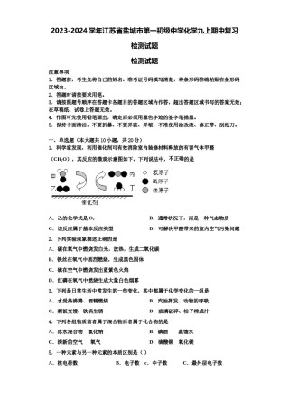 2023-2024学年江苏省盐城市第一初级中学化学九上期中复习检测试题含解析.doc