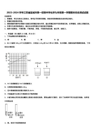 2023-2024学年江苏省盐城市第一初级中学化学九年级第一学期期末综合测试试题含解析.doc