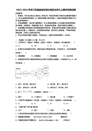 2023-2024学年江苏省盐城市部分地区化学九上期中经典试题含解析.doc