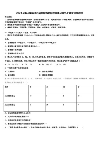 2023-2024学年江苏省盐城市龙冈共同体化学九上期末预测试题含解析.doc