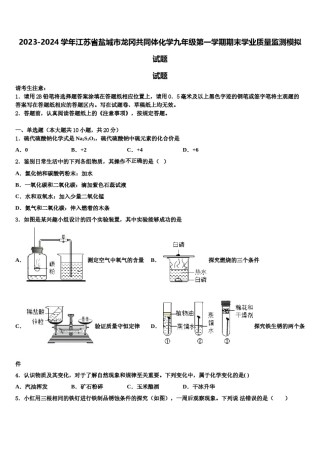 2023-2024学年江苏省盐城市龙冈共同体化学九年级第一学期期末学业质量监测模拟试题含解析.doc
