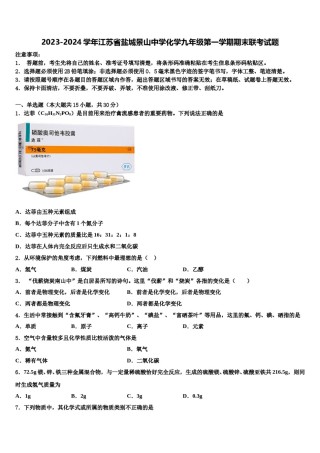 2023-2024学年江苏省盐城景山中学化学九年级第一学期期末联考试题含解析.doc