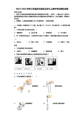 2023-2024学年江苏省苏北地区化学九上期中考试模拟试题含解析.doc