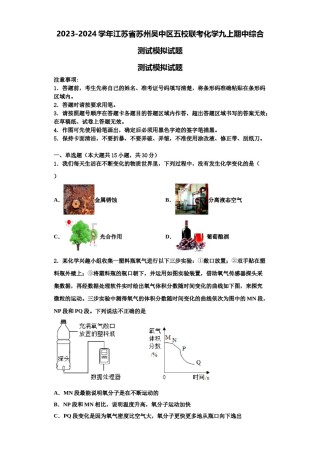 2023-2024学年江苏省苏州吴中区五校联考化学九上期中综合测试模拟试题含解析.doc