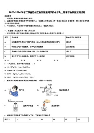 2023-2024学年江苏省苏州工业园区星湖学校化学九上期末学业质量监测试题含解析.doc