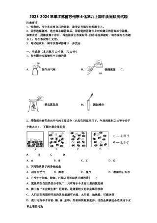 2023-2024学年江苏省苏州市6化学九上期中质量检测试题含解析.doc