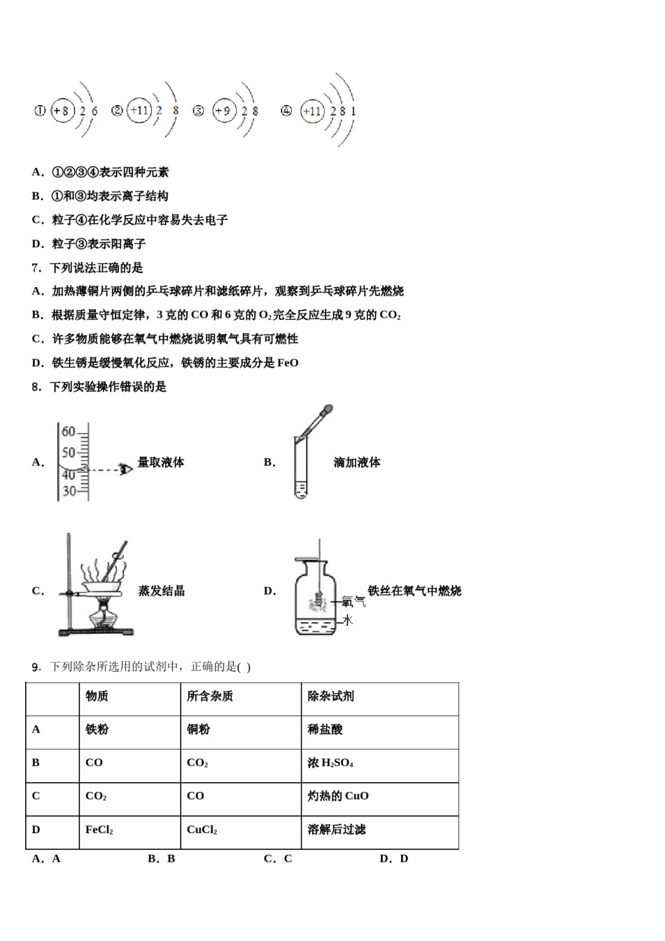 2023-2024学年江苏省苏州市东山中学化学九年级第一学期期末达标测试试题含解析.doc_第2页