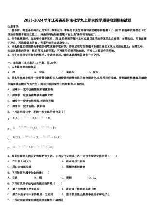 2023-2024学年江苏省苏州市化学九上期末教学质量检测模拟试题含解析.doc