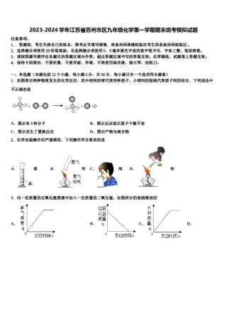 2023-2024学年江苏省苏州市区九年级化学第一学期期末统考模拟试题含解析.doc
