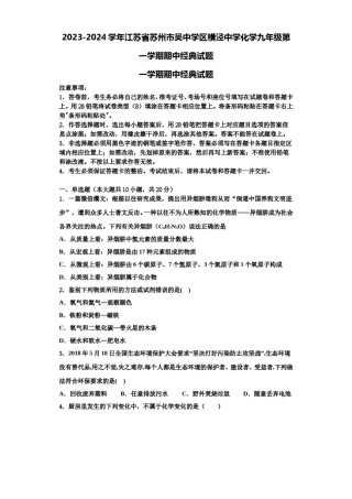 2023-2024学年江苏省苏州市吴中学区横泾中学化学九年级第一学期期中经典试题含解析.doc