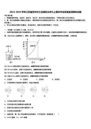2023-2024学年江苏省苏州市工业园区化学九上期末学业质量监测模拟试题含解析.doc