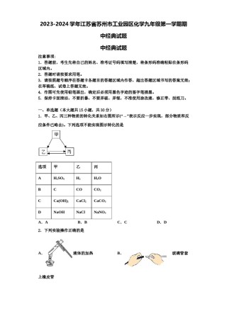 2023-2024学年江苏省苏州市工业园区化学九年级第一学期期中经典试题含解析.doc