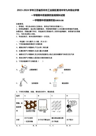 2023-2024学年江苏省苏州市工业园区星湾中学九年级化学第一学期期中质量跟踪监视模拟试题含解析.doc