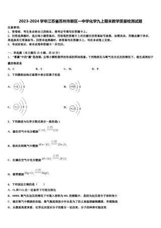 2023-2024学年江苏省苏州市新区一中学化学九上期末教学质量检测试题含解析.doc