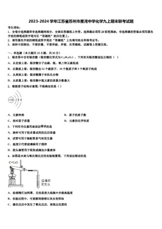 2023-2024学年江苏省苏州市星湾中学化学九上期末联考试题含解析.doc