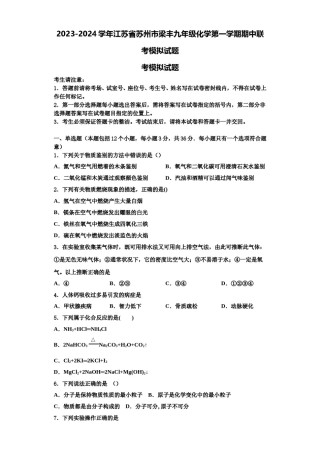 2023-2024学年江苏省苏州市梁丰九年级化学第一学期期中联考模拟试题含解析.doc
