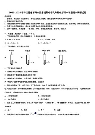 2023-2024学年江苏省苏州市梁丰初级中学九年级化学第一学期期末调研试题含解析.doc