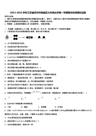 2023-2024学年江苏省苏州市相城区九年级化学第一学期期末检测模拟试题含解析.doc