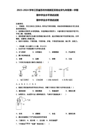 2023-2024学年江苏省苏州市高新区实验化学九年级第一学期期中学业水平测试试题含解析.doc