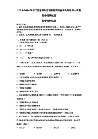 2023-2024学年江苏省苏州市高新区实验化学九年级第一学期期中调研试题含解析.doc