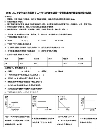 2023-2024学年江苏省苏州平江中学化学九年级第一学期期末教学质量检测模拟试题含解析.doc