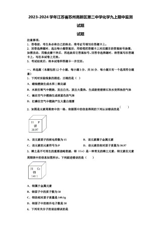 2023-2024学年江苏省苏州高新区第二中学化学九上期中监测试题含解析.doc