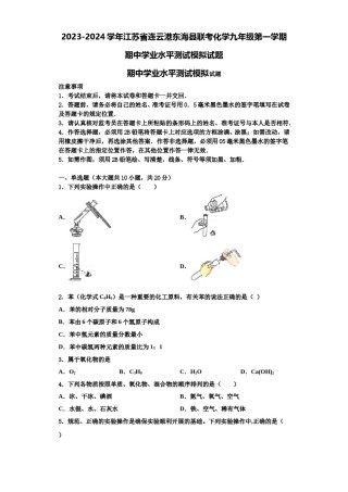 2023-2024学年江苏省连云港东海县联考化学九年级第一学期期中学业水平测试模拟试题含解析.doc