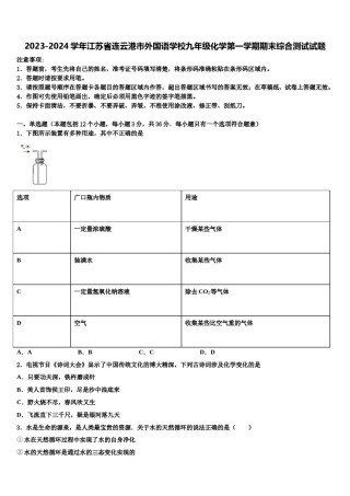 2023-2024学年江苏省连云港市外国语学校九年级化学第一学期期末综合测试试题含解析.doc