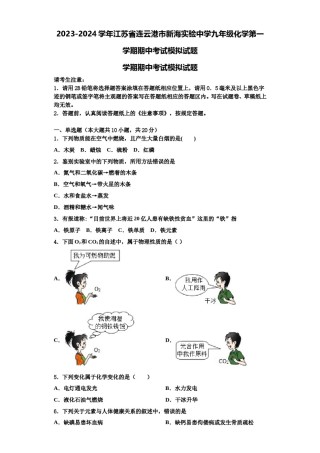 2023-2024学年江苏省连云港市新海实验中学九年级化学第一学期期中考试模拟试题含解析.doc