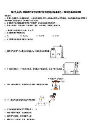 2023-2024学年江苏省连云港市新海实验中学化学九上期末经典模拟试题含解析.doc