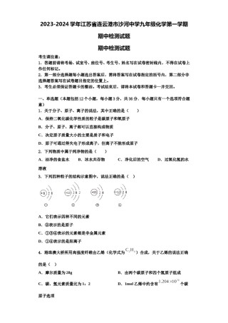 2023-2024学年江苏省连云港市沙河中学九年级化学第一学期期中检测试题含解析.doc
