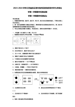 2023-2024学年江苏省连云港市海州区新海实验中学九年级化学第一学期期中经典试题含解析.doc