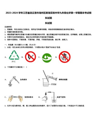 2023-2024学年江苏省连云港市海州区新海实验中学九年级化学第一学期期末考试模拟试题含解析.doc