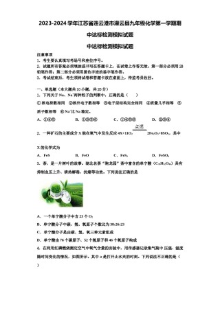 2023-2024学年江苏省连云港市灌云县九年级化学第一学期期中达标检测模拟试题含解析.doc