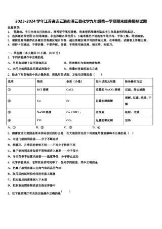 2023-2024学年江苏省连云港市灌云县化学九年级第一学期期末经典模拟试题含解析.doc