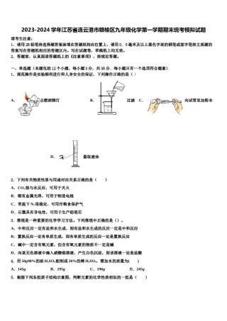 2023-2024学年江苏省连云港市赣榆区九年级化学第一学期期末统考模拟试题含解析.doc