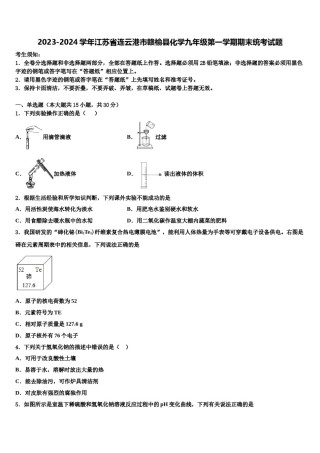 2023-2024学年江苏省连云港市赣榆县化学九年级第一学期期末统考试题含解析.doc