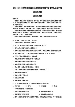 2023-2024学年江苏省连云港市赣榆实验中学化学九上期中检测模拟试题含解析.doc