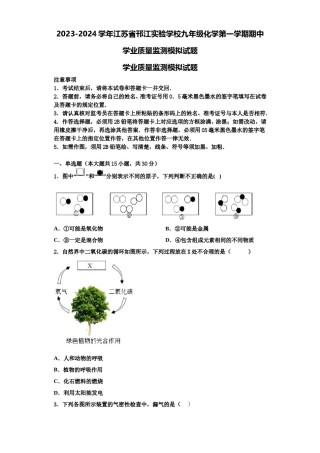 2023-2024学年江苏省邗江实验学校九年级化学第一学期期中学业质量监测模拟试题含解析.doc