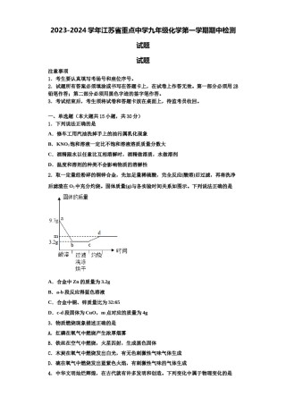 2023-2024学年江苏省重点中学九年级化学第一学期期中检测试题含解析.doc