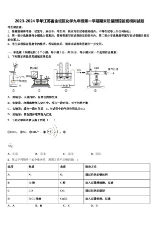 2023-2024学年江苏省金坛区化学九年级第一学期期末质量跟踪监视模拟试题含解析.doc
